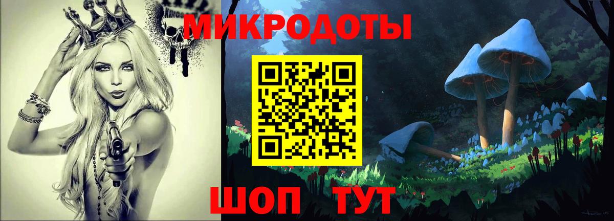 Каспийск  Псилоцибиновые грибы Psilocybe  Вход с VPN  Псилоцибиновые грибы мицелий 
